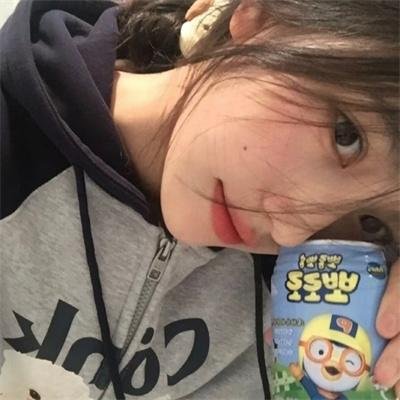 假元首秘纪